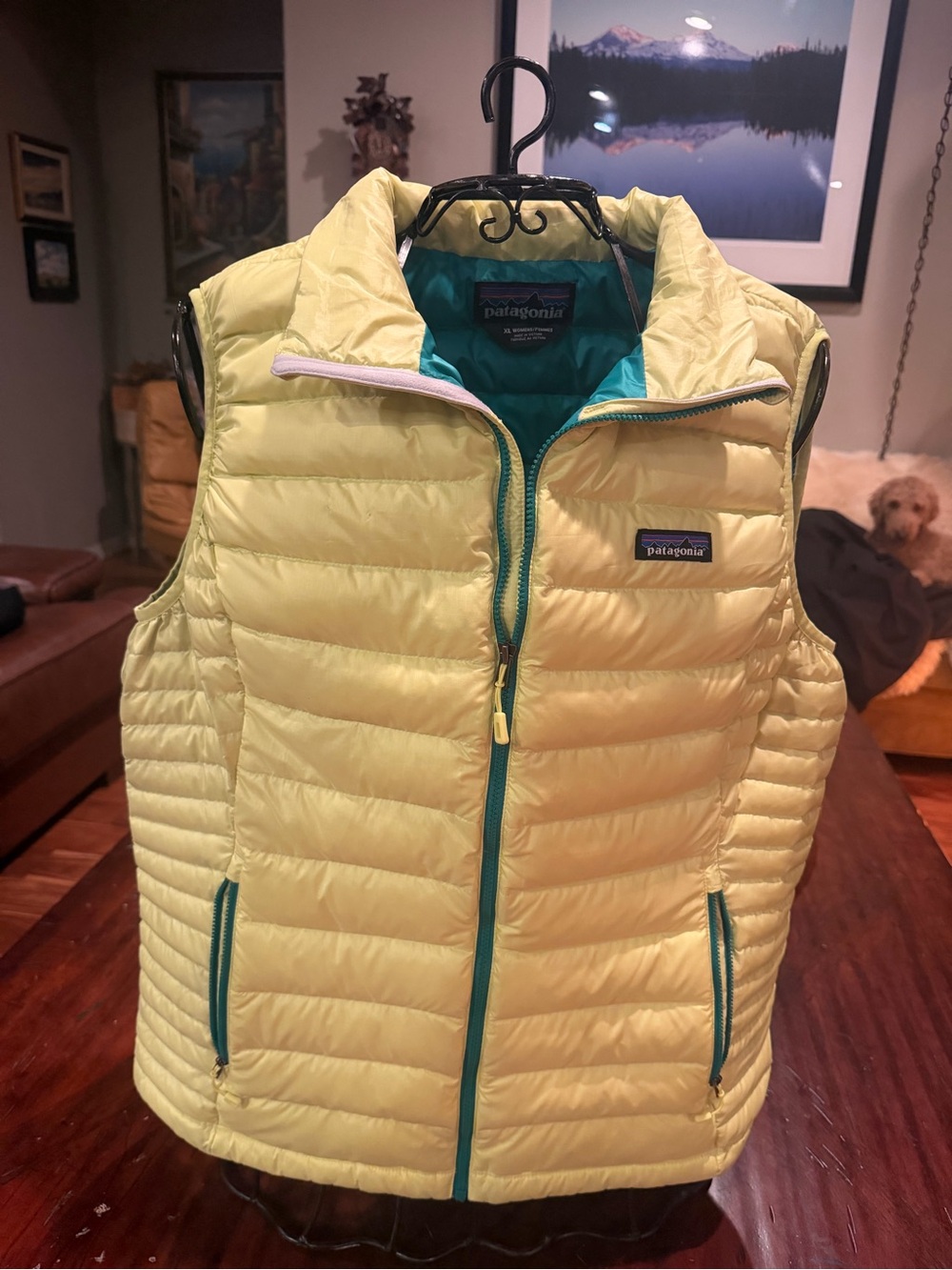 Patagonia Yellow Vest with Teal Interior Womens XL Solar Pow green. - Picture 6 of 8